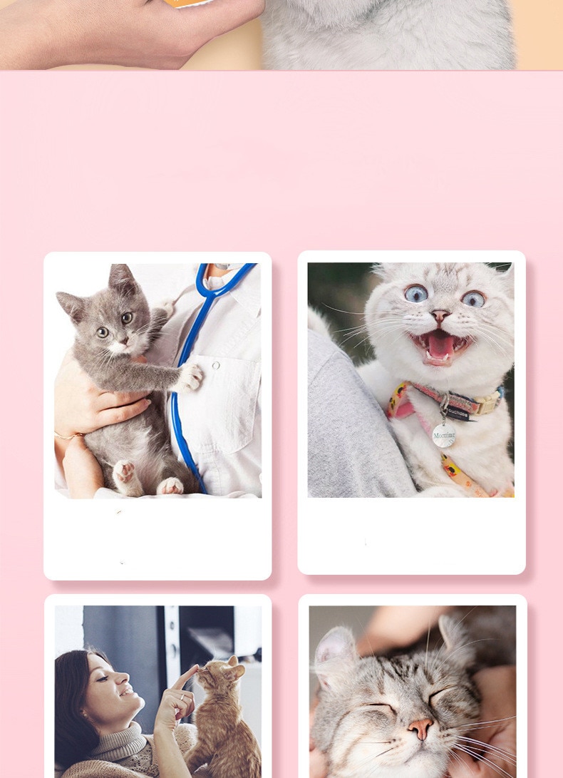 90g 고양이 젖은 음식 고양이 간식 멋진 인감 패키지 고양이 통조림 두꺼운 수프 치킨 곡물 애완 동물 영양 팩 - imaget 3