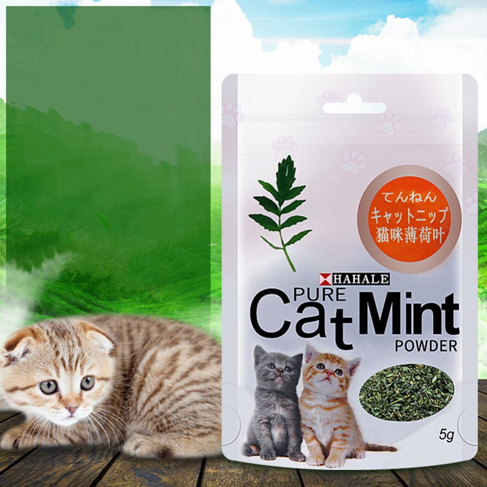 Catnip 5g/gói Cat Mint Powder Natural Pet Kitten Mouth Cleaning Flavor Treats Catnip 5g/gói Cat Mint Powder Natural Pet Kitten Mouth Cleaning Flavor Treats