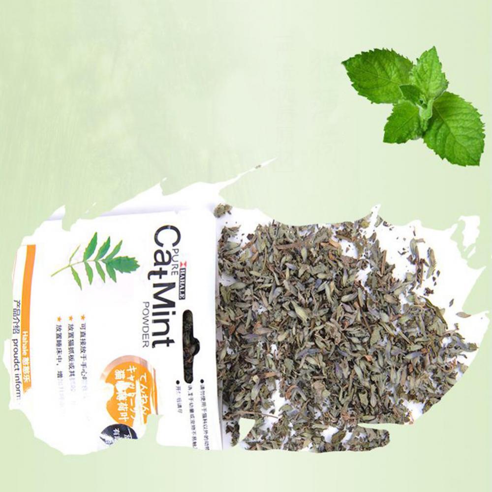 Catnip 5g/gói Cat Mint Powder Natural Pet Kitten Mouth Cleaning Flavor Treats Catnip 5g/gói Cat Mint Powder Natural Pet Kitten Mouth Cleaning Flavor Treats