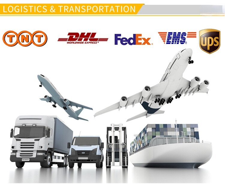 DIY LED Wall Bracket Lights Modern Small Lamp Living Room Decoration Bedroom Nordic Style 20 Colors with Dry Flower - imaget 13