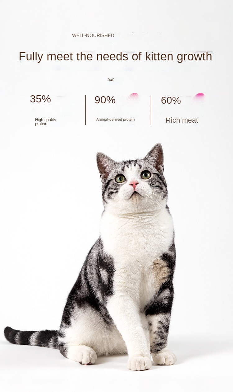 Thức ăn mèo Kitty đông khô, nghiền nát, bánh sữa, gà, dinh dưỡng, vỗ béo và mang 1-12 tháng - Ảnh 6