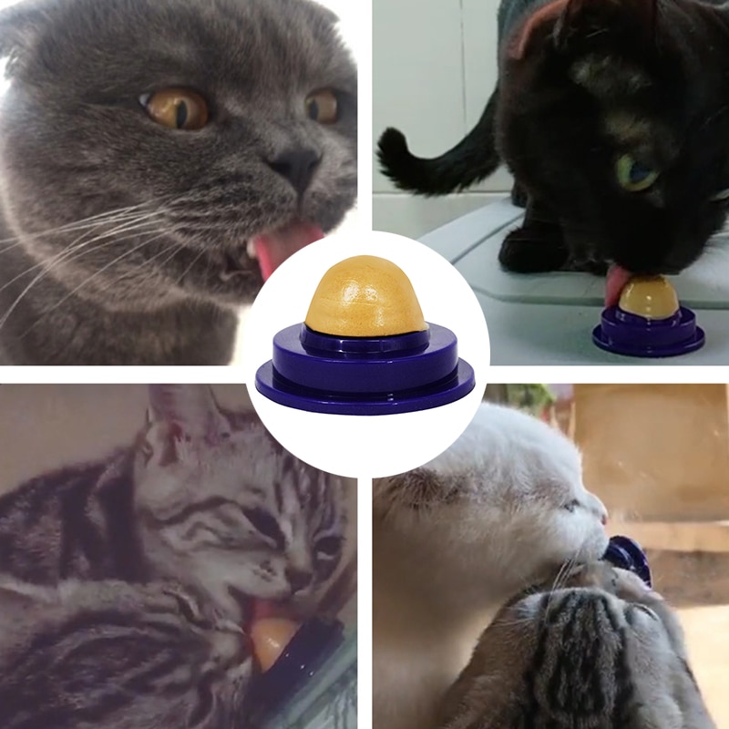 Mèo Bóng Năng Lượng Mèo Hình Cầu Kẹo Mèo Lollipop Mèo Catnip Mèo Đồ Ăn Nhẹ Đồ Chơi Thú Cưng Mèo Bạc Hà Có Keo Liếm Dinh Dưỡng Tốt Cho Sức Khỏe Mèo Bóng Năng Lượng Mèo Hình Cầu Kẹo Mèo Lollipop Mèo Catnip Mèo Đồ Ăn Nhẹ Đồ Chơi Thú Cưng Mèo Bạc Hà Có Keo Liếm Dinh Dưỡng Tốt Cho Sức Khỏe