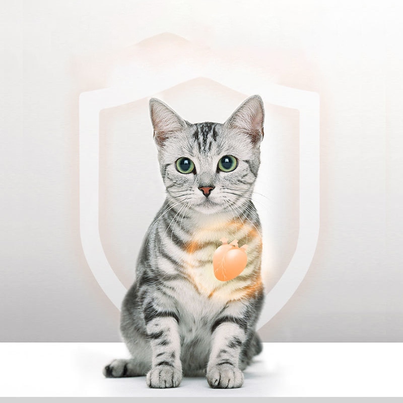 Pet freeze-dried cat snacks Antarctic krill fattening gills into kitty cat food staple pet low salt pet food