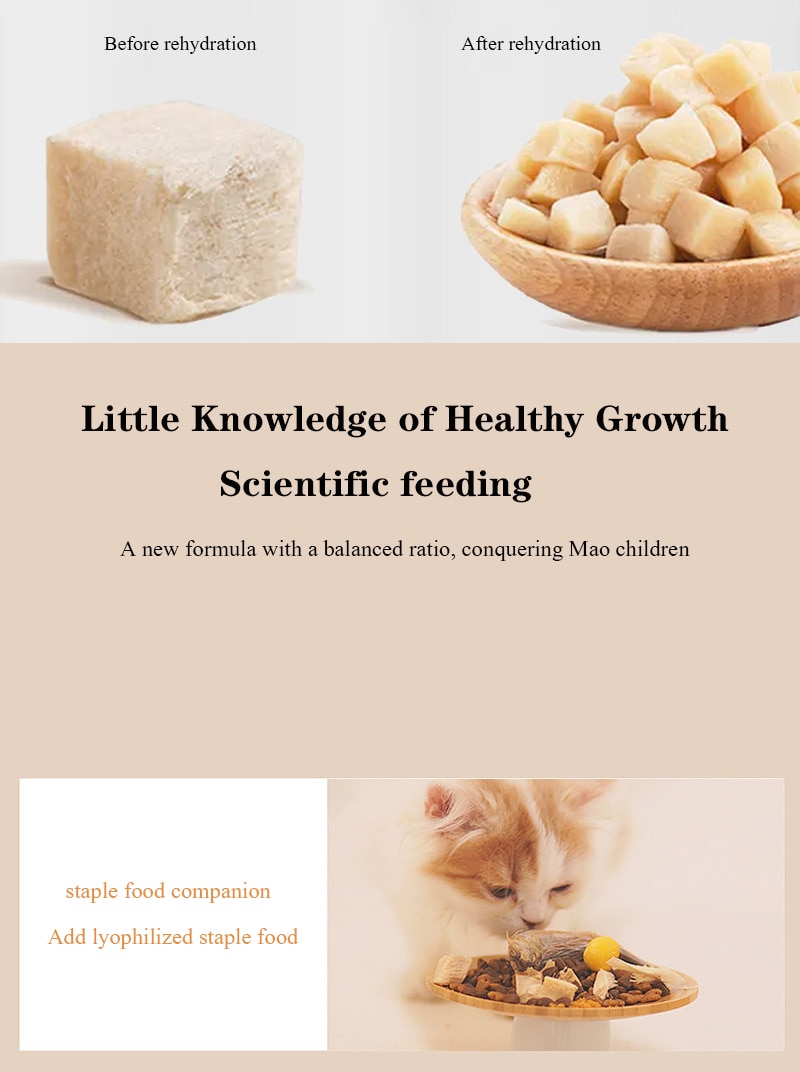 Đồ ăn vặt thịt đông khô cho thú cưng gà bò vịt vịt gà ức nhỏ 500g đồ ăn nhẹ cho chó mèo - Ảnh 7