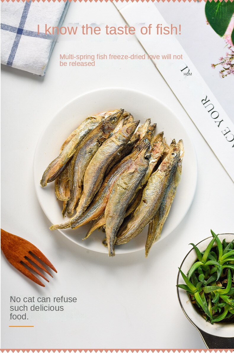 Đồ ăn vặt đông khô cho thú cưng cá mùa xuân đồ ăn nhẹ cho chó mèo có hạt cá mùa xuân thịt đông khô - Ảnh 5