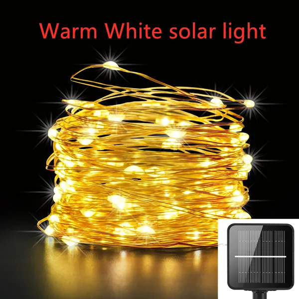 Warm White Warm White