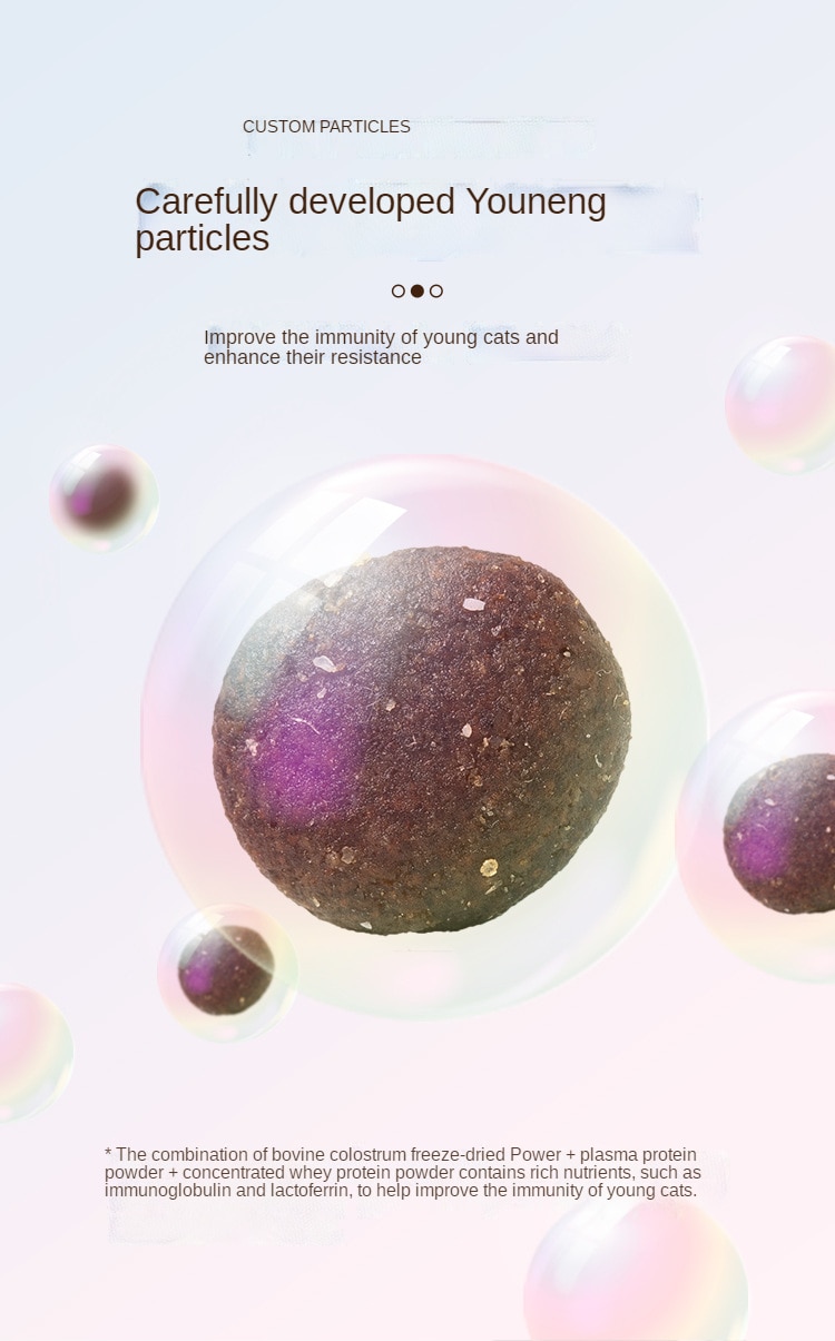 동결 건조, 분쇄 및 파손된 고양이 사료, 정가 우유 케이크, 닭고기, 영양, 비육 및 아가미 1-12개월 - imaget 4